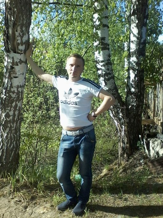 березовая роща