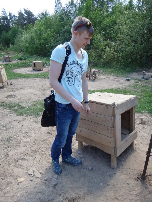 Парк хаски