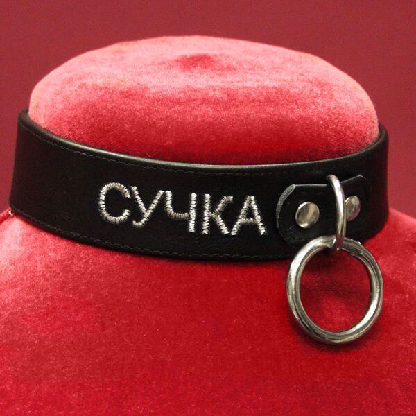 сучка