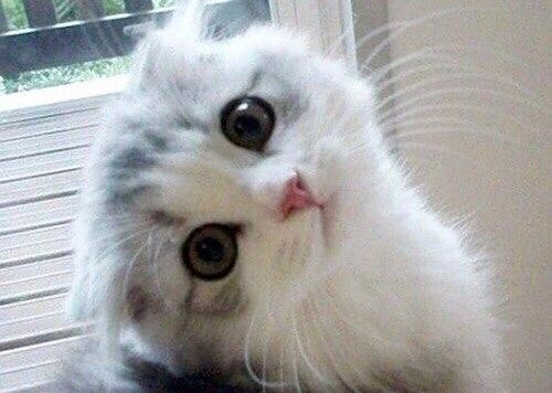 111111113