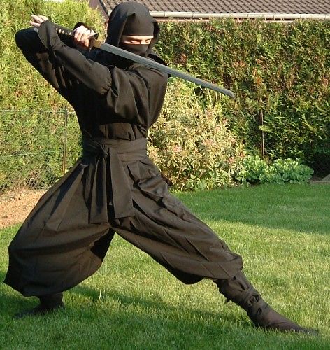 ninja22