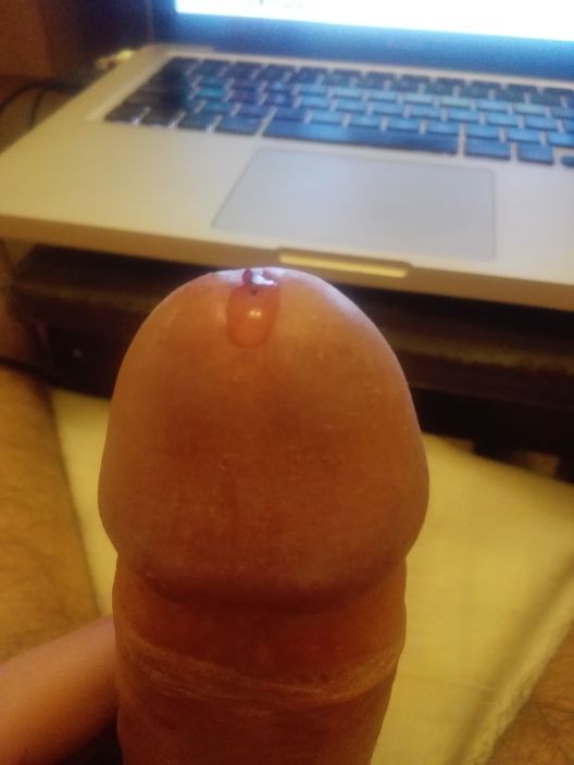 my cock