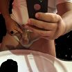 Personal photos