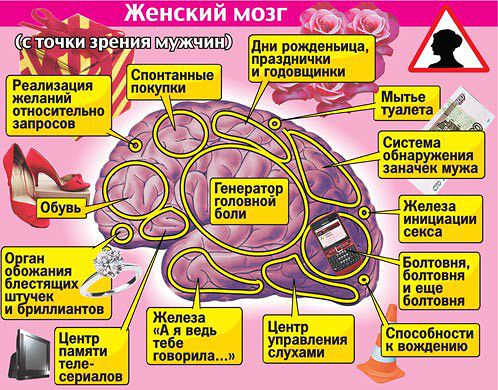 ум чесгь