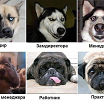 Мои старые фото