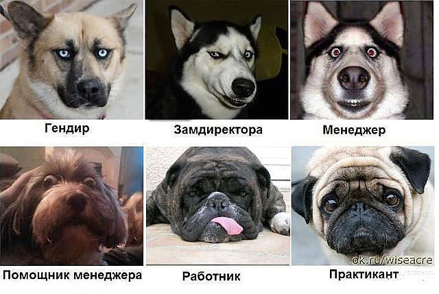 )))))))))))))))))