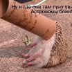 про