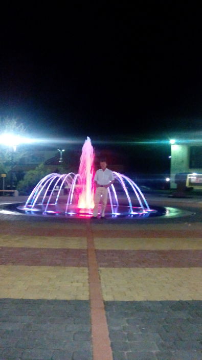 я только такой девушки