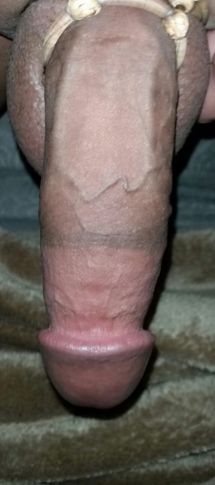 my cock