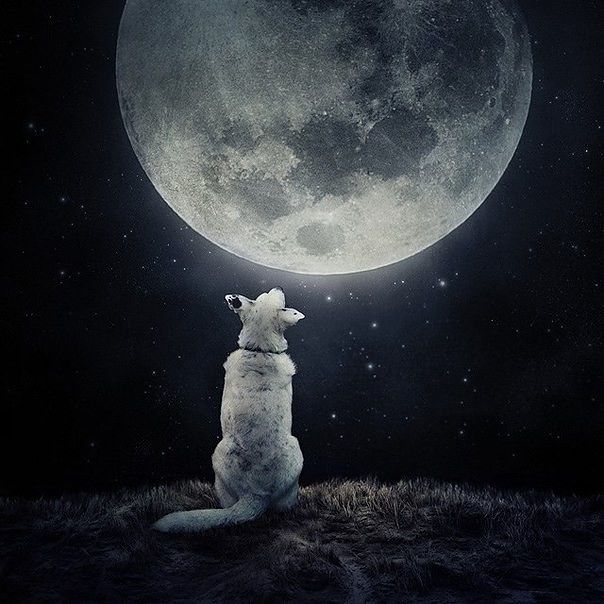 смотрю на луну