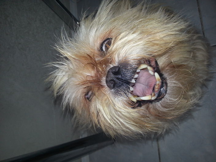 вот так вот