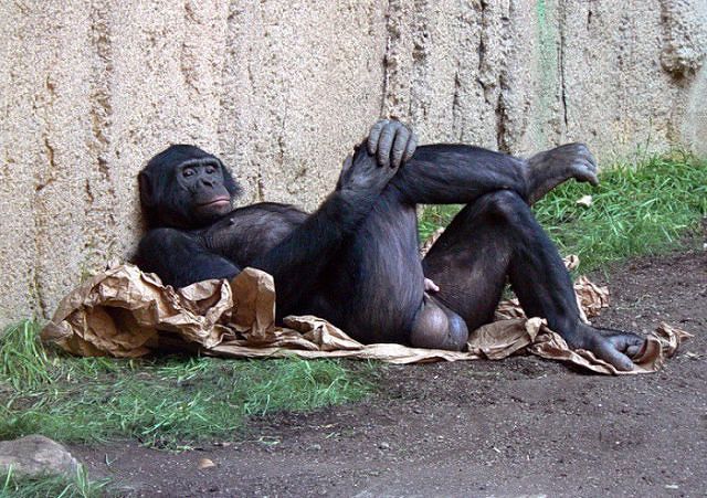 Хорошо!!!!!!!!!!