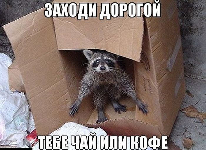 прикол