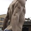 MALE M