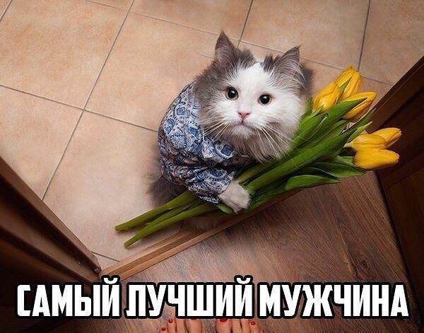ttffff