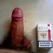 Мой