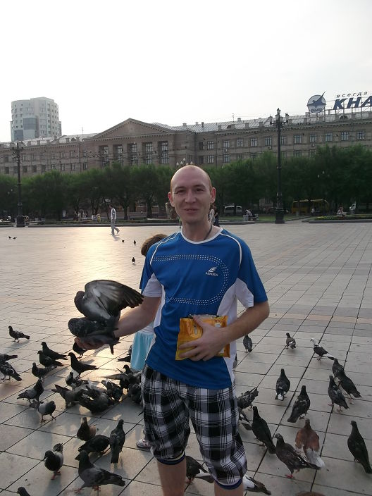 я и голуби