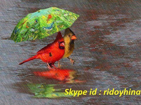skype id : ridoyhina