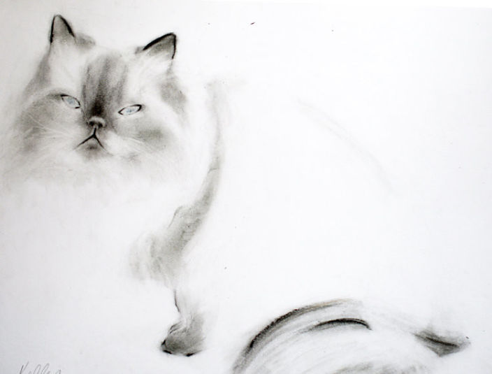 мы все по своей природе коты