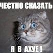 сыр