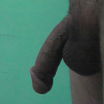 I love My Dick