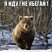 медведь хочун