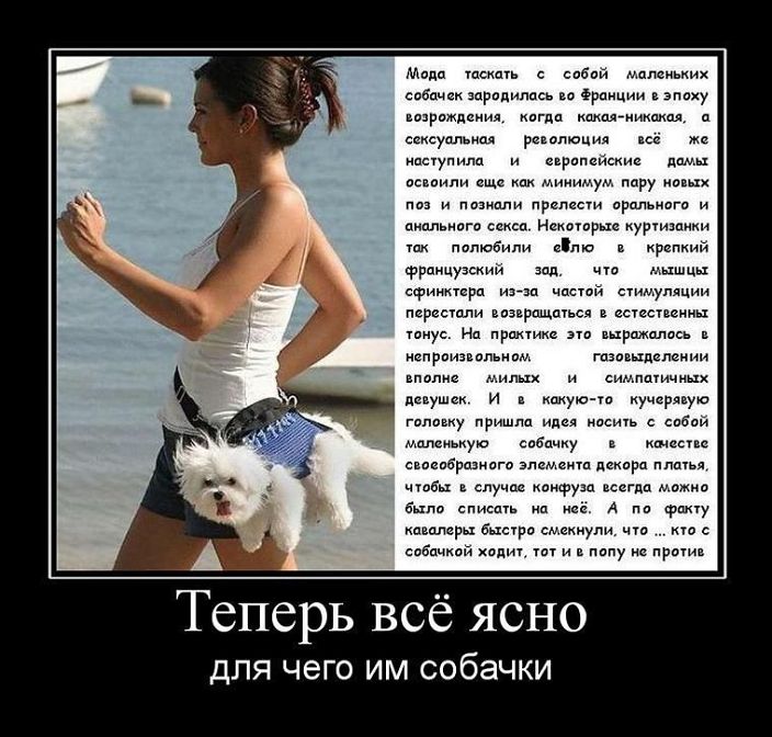 Вот так вот!)