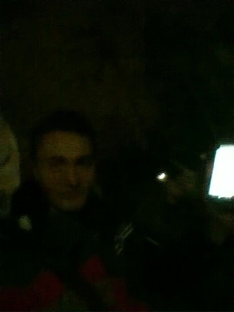 киски вы где?