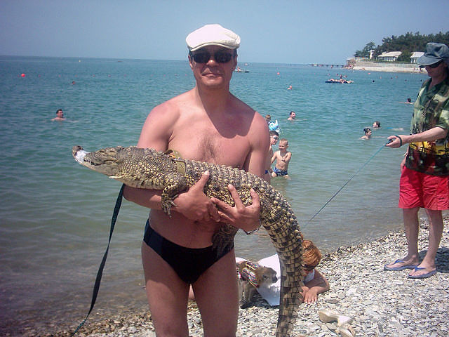 Любимая кракодилица ...