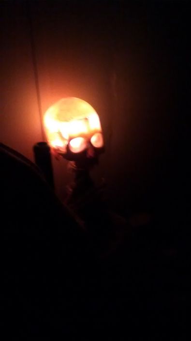 Skull lamp