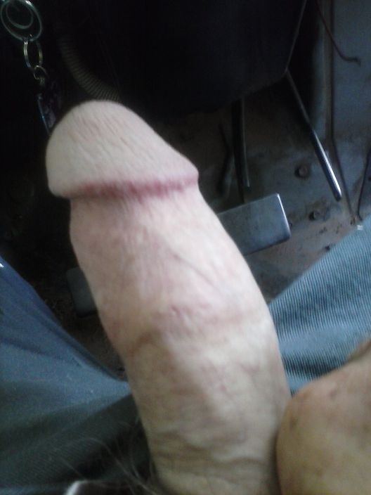 my dick. you like?