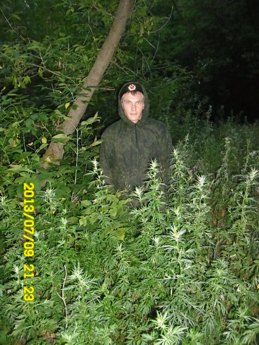 как я вам девочки