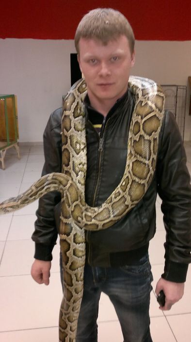 вот он я!