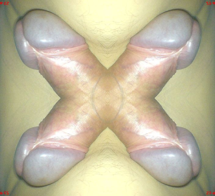XXXX