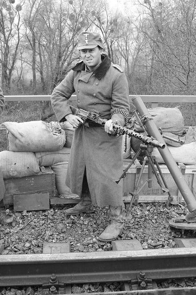 фото со семок