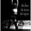 No fears... No limits... No regrets...