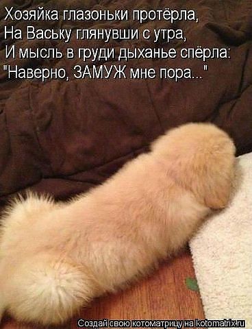 ДА!!!
