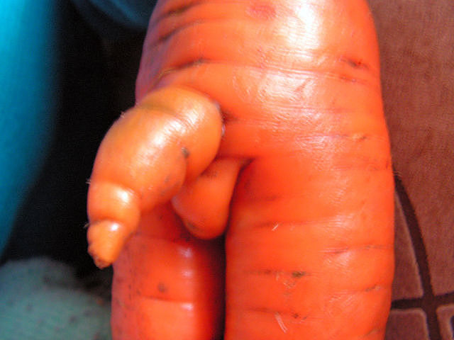 Чудо морковка