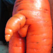 Чудо морковка