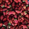 Swtrawberry