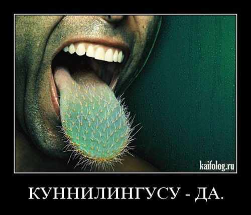 Всегда готов