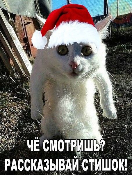 vvv