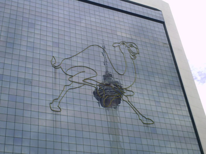 хочу как у верблюда!!!!!!!!!!!!!!