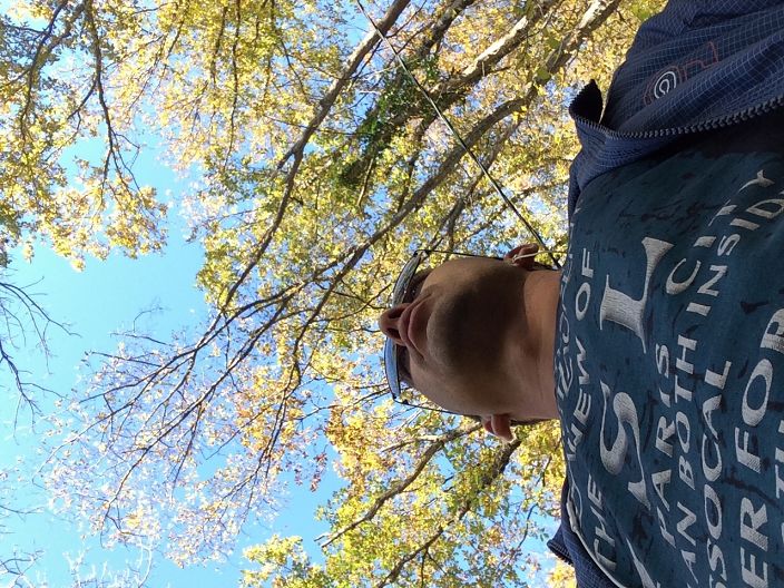 Где то в лесу