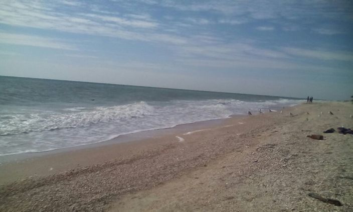 море