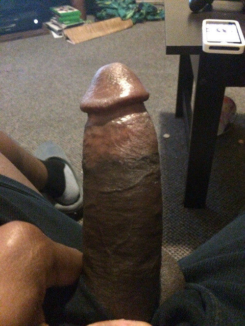 blackcock