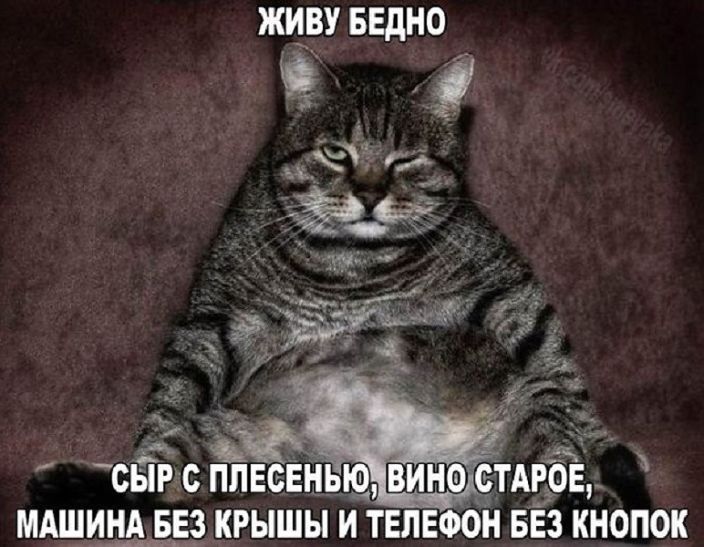 111