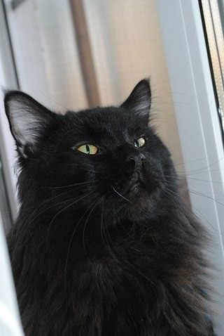Люблю секс