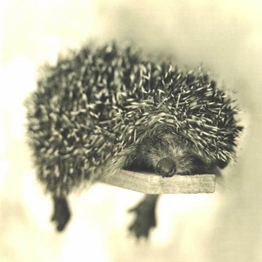 всем привет)