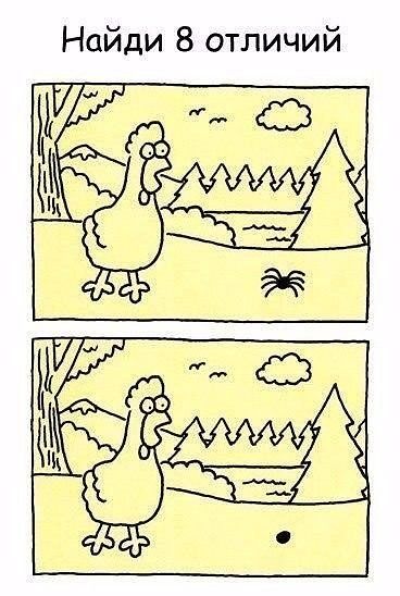 Chiken